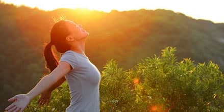 imagem demonstrativa