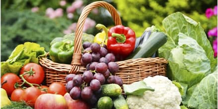 imagem demonstrativa