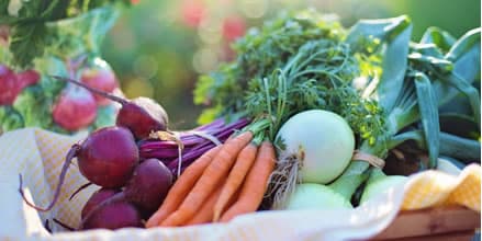 imagem demonstrativa